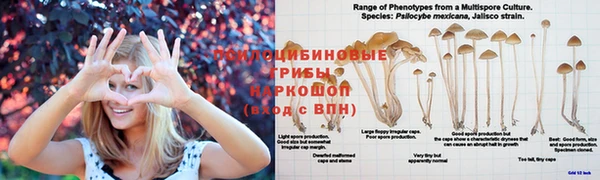 метамфетамин Покров