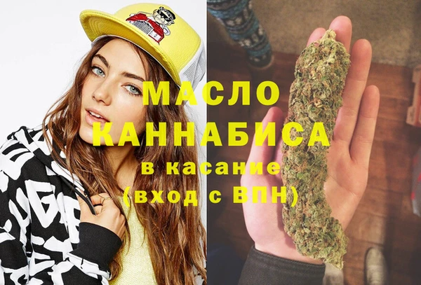 молекула духа Пестово