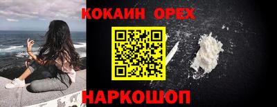 шишки Гай