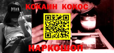 шишки Гай