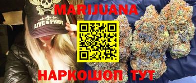 шишки Гай