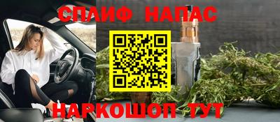 шишки Гай