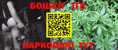 шишки Гай