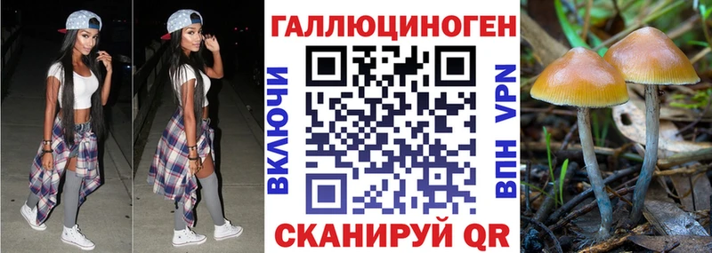 Галлюциногенные грибы Magic Shrooms  дарк нет наркотические препараты  Серов 