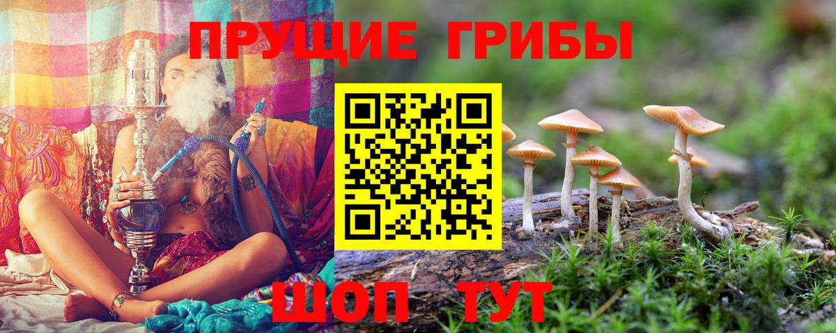 Псилоцибиновые грибы Psilocybine cubensis Серов