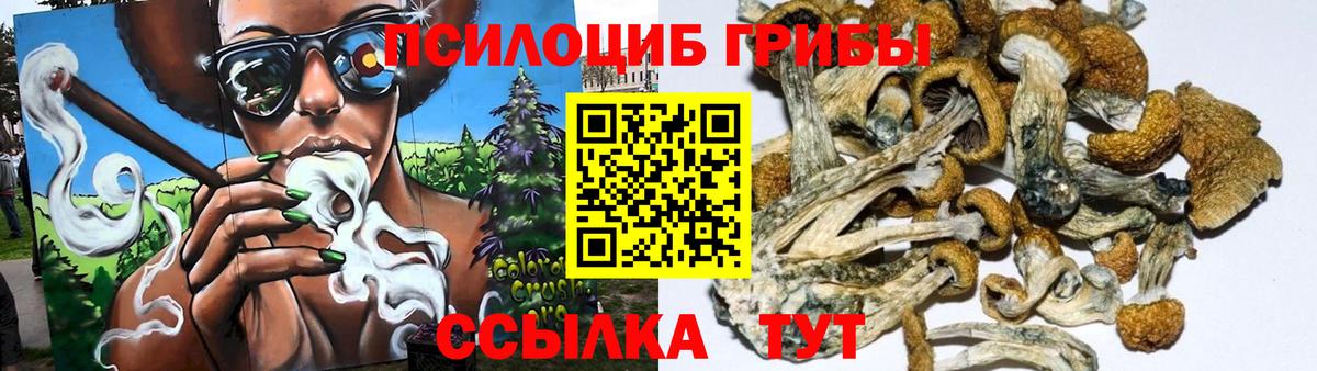 купить закладку  Псилоцибиновые грибы GOLDEN TEACHER  Вход с VPN  Серов 