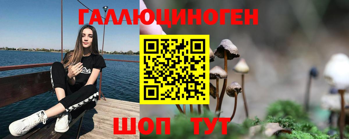 купить наркотики цена  Серов  Псилоцибиновые грибы GOLDEN TEACHER  Псилоцибиновые грибы Psilocybine cubensis 